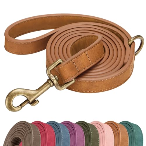 Didog Stylish PU Leather Dog Leash for Medium Dogs Easy to Clean 5ft Dog Leashes for Large Dogs Fashionable and Elegant for Walking Running and Training Light Brown M