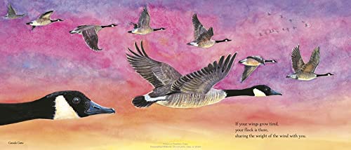 Catching Flight: Soaring on the Wings of Birds - Image 4