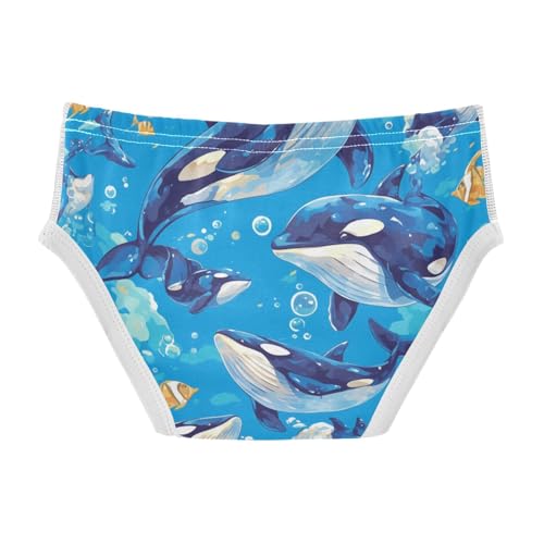 Killer Whale on Blue Toddler Boys' Cotton Training Underwear Cute Undies2