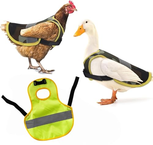 {Gv ybg˃xXgi2 j AqEK`Ep |GXe ߉\ 30*25*0.5cm ԈS p (B*2)