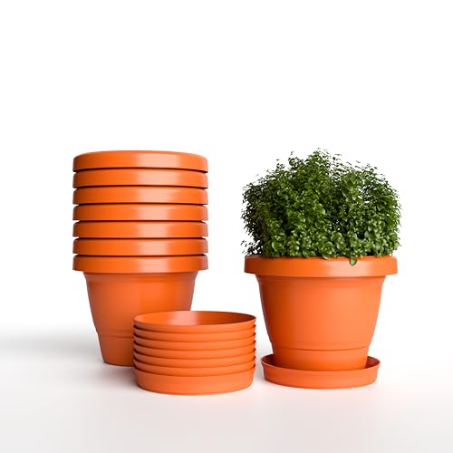 Image of YUCCABE ITALIA SHERA SD 10 INCH Pack of 8 with Bottom Tray Plastic Flower Pot Unbreakable Round Shape Planter for Garden Seedling Indoor and Outdoor