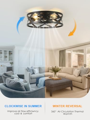 Image of 20 Inch Caged Ceiling Fan Light with Remote, Black Flush Mount Bladeless