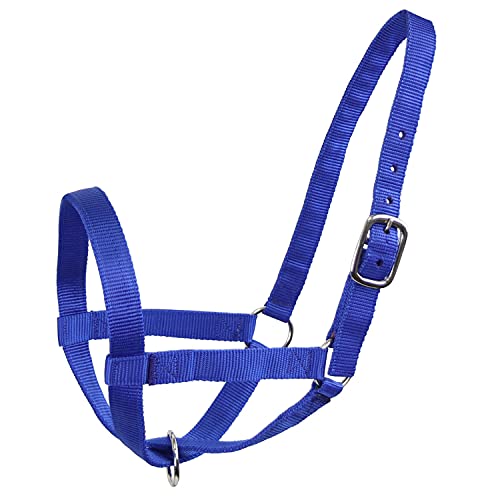 Derby Originals Adjustable Nylon Livestock Cattle Halters, Royal Blue, Medium - Thumbnail 2