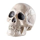 Größe: 10 x 10 x 8 cm groß NET TOYS Totenschädel Totenkopf Schädel Halloween Deko Skelett Dekoration Dekoschädel Totenkopfschädel Dekoartikel