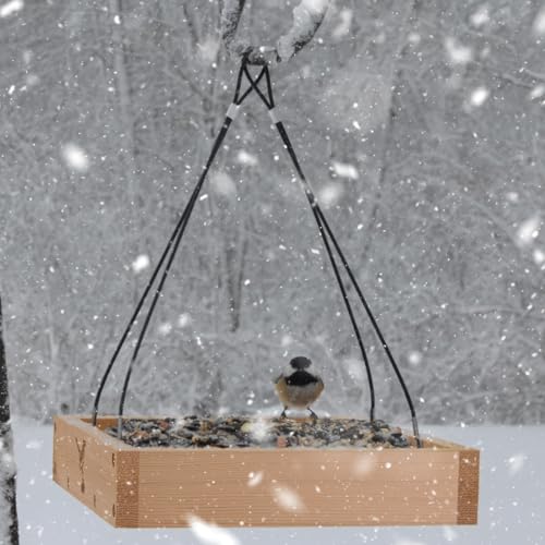 Better-Heavy-Duty-10-Cedar-Platform-Tray-Bird-Feeder-Hanging-Wild-Birdfeeder-Trays-for-Garden-Outdoors-Stainless-Steel-Cable-Mesh-Bottom-Lifetime-Weatherable
