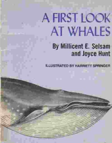 A First Look at Whales 059031985X Book Cover