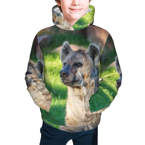 Hyena Pattern Boy, Girls Sports Shirt Youth Pullover Fashion Hooded Sweatshirt