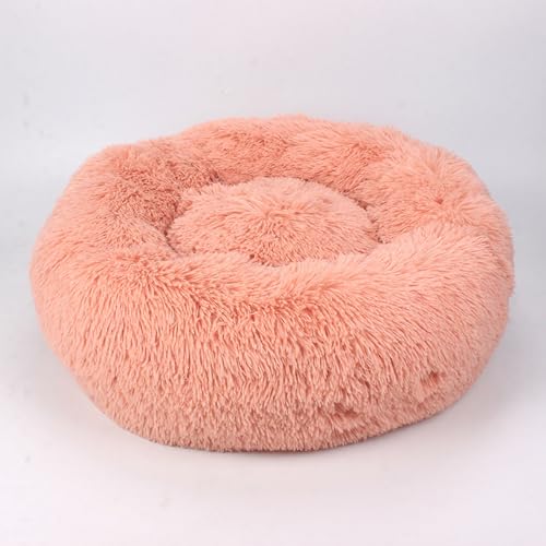 [ADSNS] ybgxbh g L xbh  xbh ybgxbg ybgp NbV ~ Vv 50 킢  ӂӂ  x[W O[ sN AC{[ 킢 L ˂ lR  _炩 J[5