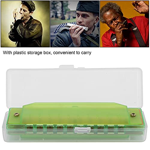 Jouets éducatifs pour instrument translucide Harmonica à 10 trous avec boîte de rangement Instrument de musique facile à… - Les Beatles, Paul McCartney, John Lennon, RIngo Starr, George Harrison Jouets éducatifs pour instrument translucide Harmonica à 10 trous avec boîte de rangement Instrument de musique facile à… – Image 4