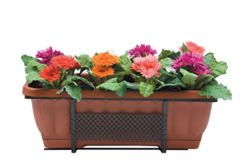Preisvergleich Produktbild Bronzo Homeline Balkon mit Reserve 50 cm Pink