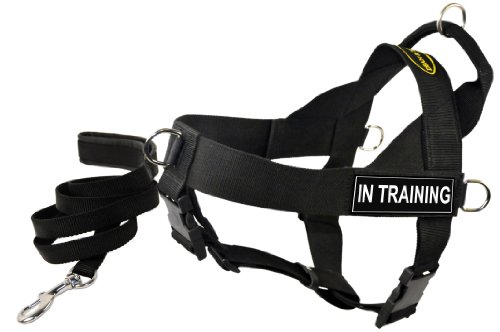 Dean and Tyler 33 to 42-Inch K9 On Duty Dog Harness Padded with 6-Feet Stainless Steel Snap Puppy Leash, Large, Black