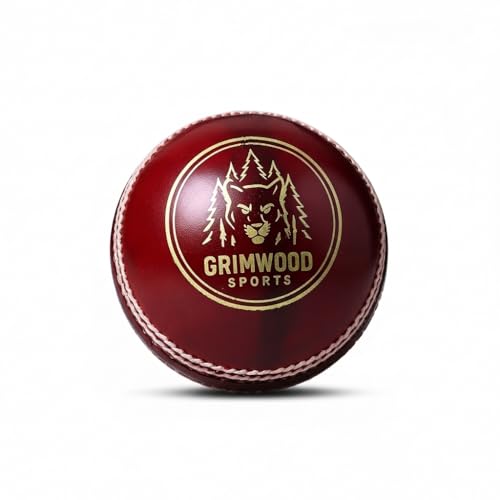 Image of Leather Ball for Cricket | Handcrafted Waterproof Design | Durable Seam & Premium Cork Ball | Match Ready Cricket Ball for Test, ODI, T20 & Practice Games (Blaze Leather Ball - Red)