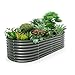 A ANLEOLIFE 8x4x2ft Galvanized Raised Garden Bed Kit, Oval Metal Deep Root Planters for Outdoor Plants Vegetables Flowers Herb, Large Bottomless, 478 Gallon Capacity- Quartz Grey
