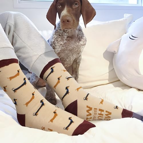 GEBETTER Geschenk für Hundebesitzer Dackel Socken 36-45 lustige Dog Geschenkideen Mit Spruch „Bitte Nicht Stören Mein Hund braucht mich“ Geburtstagsgeschenk für Frauen Männer Hundeliebhaber