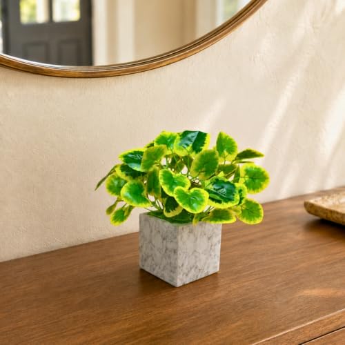 Image of fancymart Artificial Plant with Real-Touch Leaves in Pot, 25 cm, Indoor Tabletop Item for Home Decor, Office, Living Room