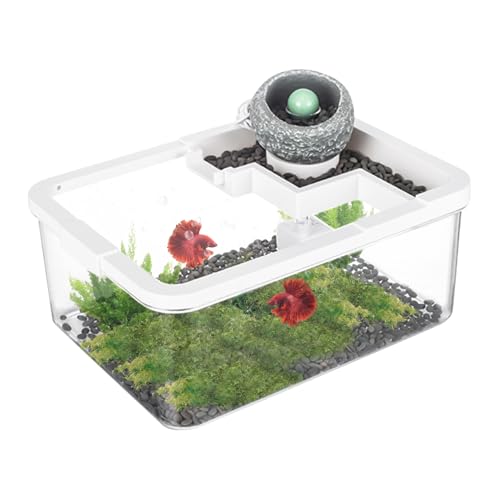Petit Aquarium à Poissons | Décoration De Table Basse avec Aquarium | Système Hydroponique avec Pompe USB pour Poissons Combattants, Crevettes et Méduses