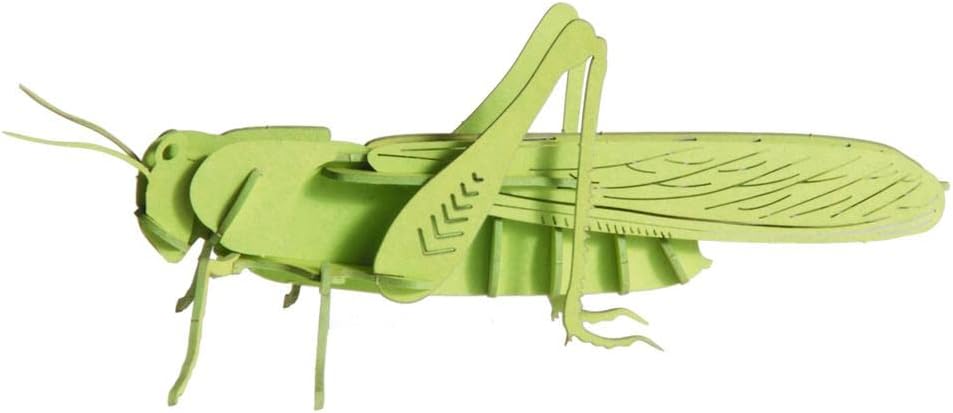 Fridolin 3D paper model locust