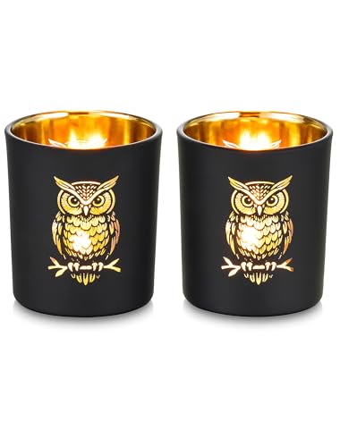 Weihnachtsdeko mit Kerzen 31 Eule Teelichthalter Weihnachten Glas Geschenke: Romadedi 2er Set Eulen...