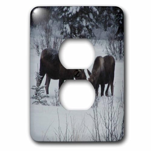 Bouchons de prise neige et élan pour une décoration murale nature - 2