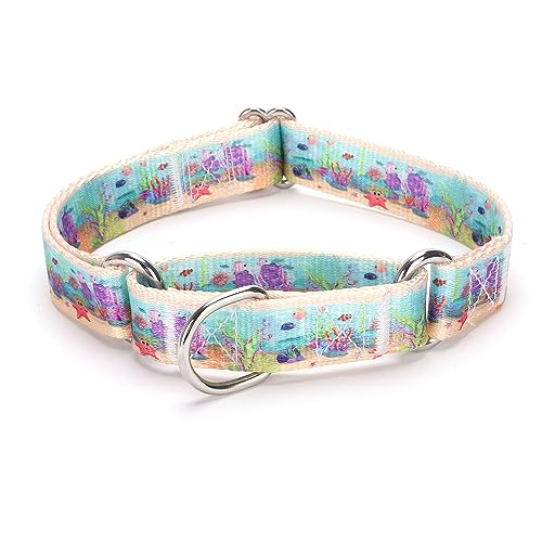 haoyueer Collare per cani in nylon regolabile e resistente Martingala per cani da passeggio e addestramento per cani maschi e femmine (L:45-53CM, Oceano)