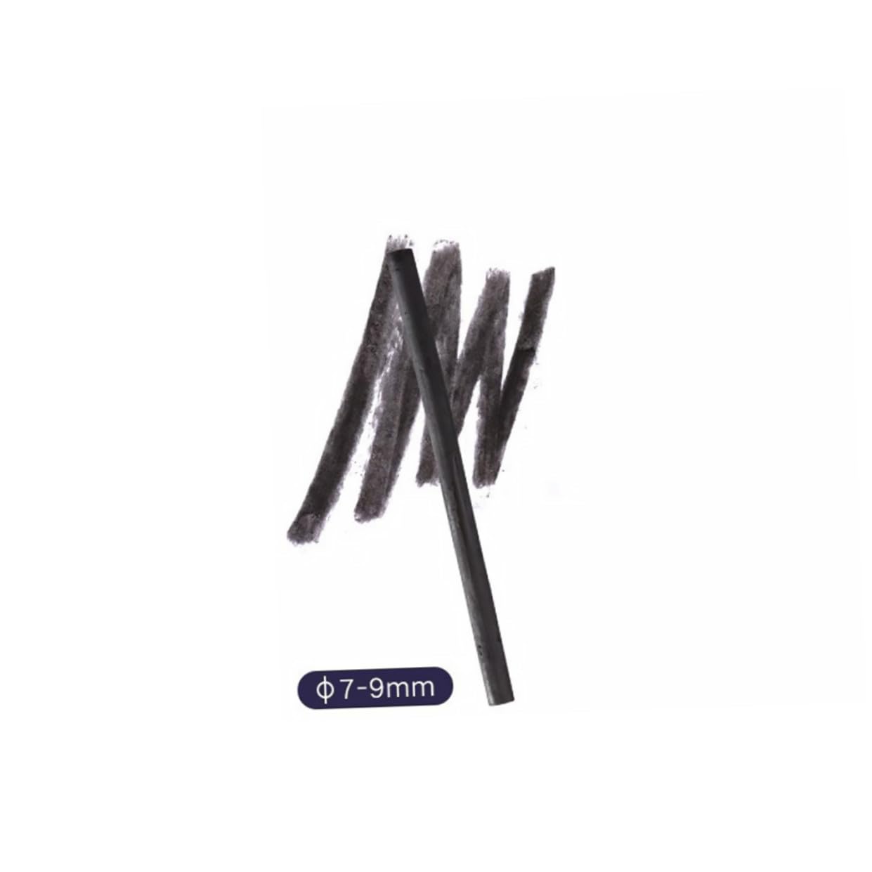 Operitacx 75piezas Lápiz De Carboncillo Para Dibujo y Pintura Herramientas De Sketching Para Artistas y Principiantes Para Sombrear y Composiciones Básicas