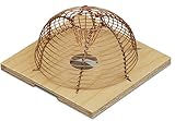 Windhager