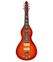 Algopix Similar Product 18 - Vorson FLSL200 Professional Lap Steel
