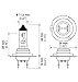 HELLA H7 Standard Halogen Bulb, 12 V, 55W