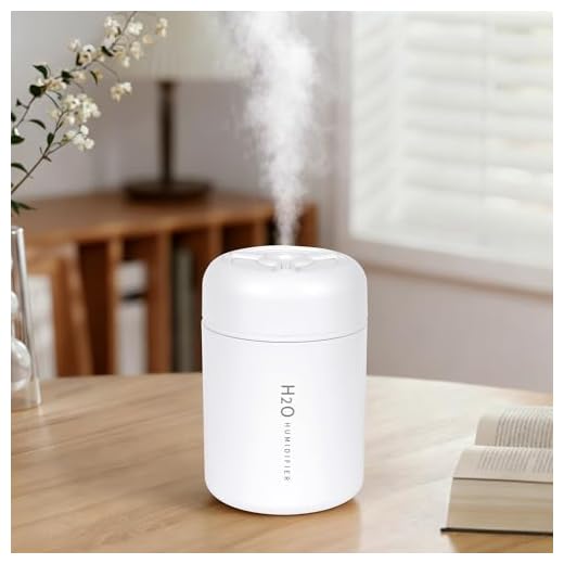 Portable Mini Humidifier, 300ml USB Cool Mist Small Humidifier with Colorful Lights. Perfect for Bedroom, Office, Plants, travel & Car (White)