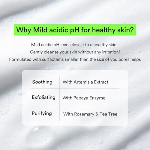 Image of Abib Mild Foam Cleanser Heartleaf Foam 5.07 fl.oz