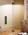 Mudodi Floor Lamp,Floor Lamps for Living Room Bedroom Office with Remote Control?Stepless Dimmable Corner Lamp, Tall Lamp Stepless Adjust Color Temperature 3000K~6000K with Foot Switch(Black)