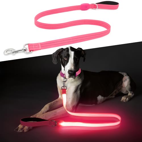 LED Dog Leash, Light Up Dog Leash 4 Ft USB Rechargeable Waterproof, Nylon Reflective Leashes with Padded Handle for Dogs Night Walking Light, Safety Glow in The Dark for Large Medium Pets (Pink)