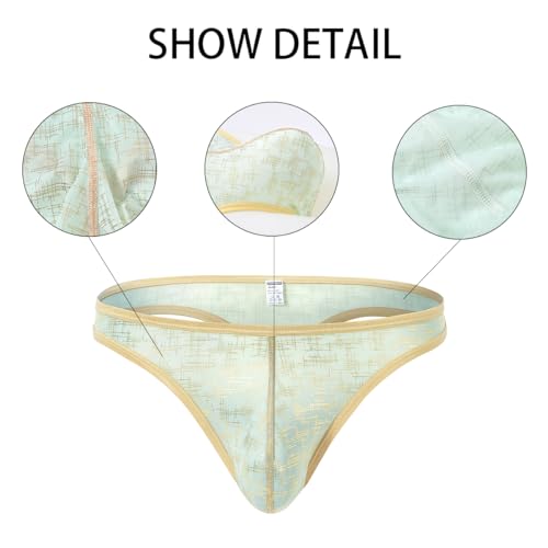 Men's Sexy Thong Bulge Enhancing Pouch Printing Stripe Underwear T Back Low Rise G-String3