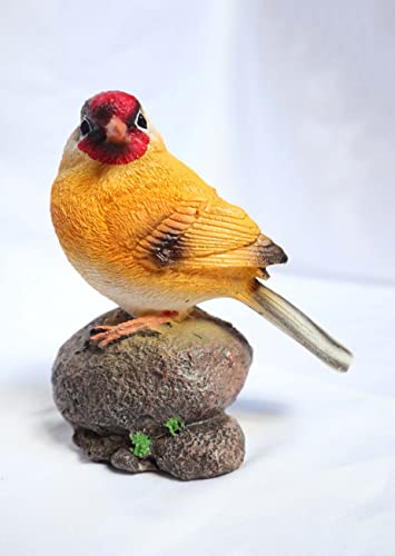 Plusmore Set Of 2 Robin Ornament Bird Statue Animal Figurine Garden Sculpture Home Indoor Outdoor Decor Yard Lawn Resin #TOP1