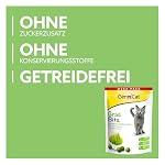 GimCat Gras Bits - Getreidefreier und vitaminreicher Katzensnack mit echtem Gras - 1 Beutel (1 x 425 g) – Bild 3