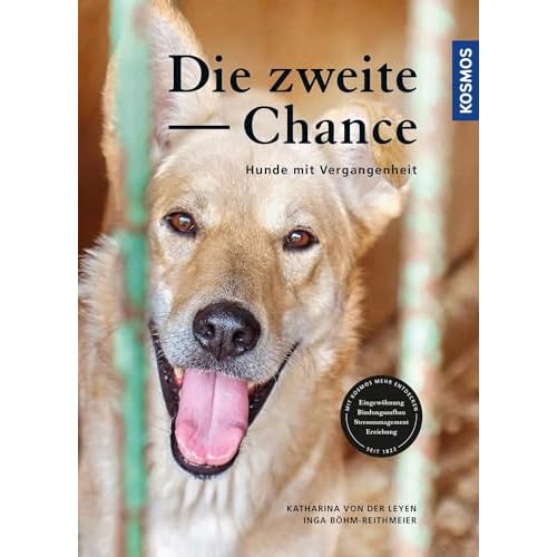 Die zweite Chance: Hunde mit Vergangenheit