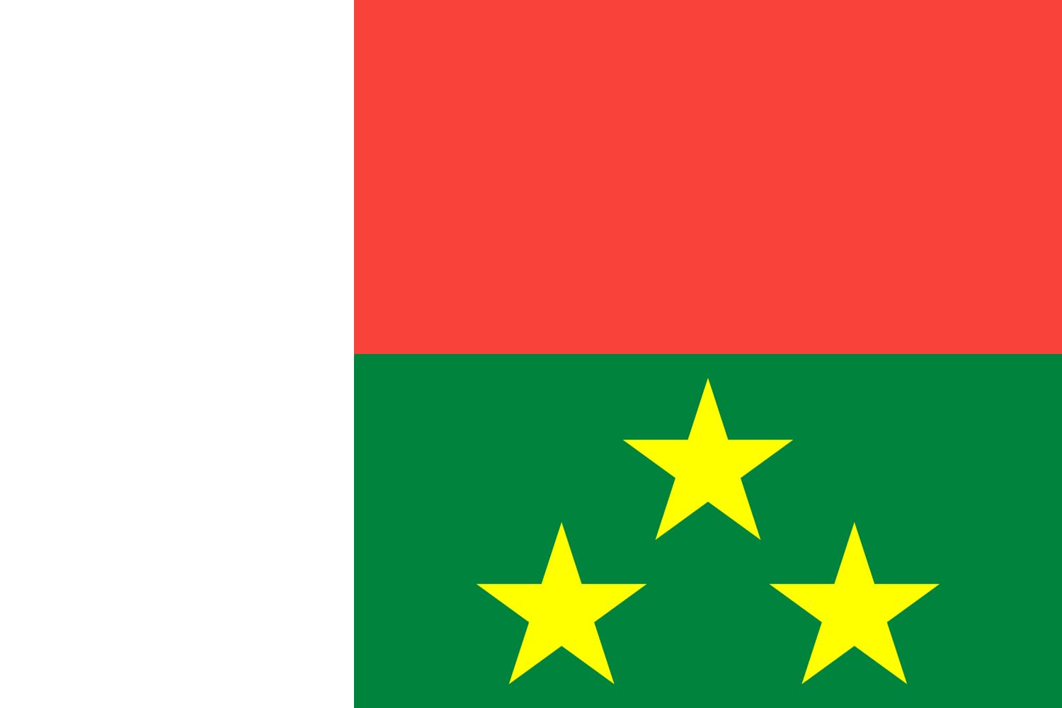 Pavillon militaire Chief of Army Staff de Madagascar grade Général
