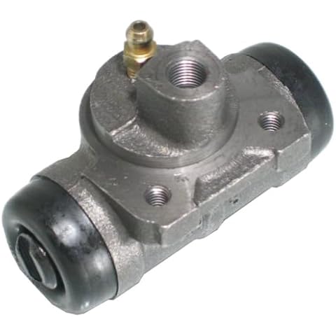 Delphi LW26506 Brake Cylinder for Vehicles Cover