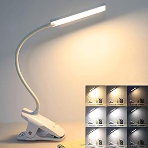 Lampe de Lecture, 24 LED Liseuse Lampe, Rechargeable Lampe LED de Bureau, 3 Modes de Température de Couleur et 3 Niveaux de Luminosité Réglables Flexible Lampe Clip pour Livre au Lit