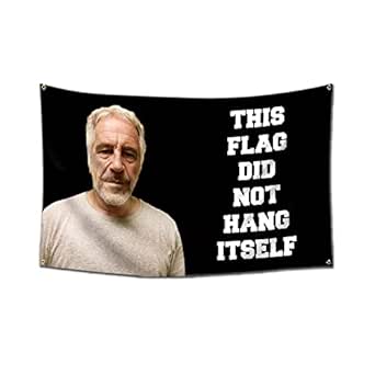 This Flag Did Not Hang Itself Funny Jeffrey Epstein Flag 3x5Ft Funny