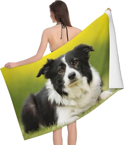 oX^I {[_[ER[  Aj ^I z }CNt@Co[ Gǂ LN^[   RۖhL rbO ƒp Ɩp lC v[g