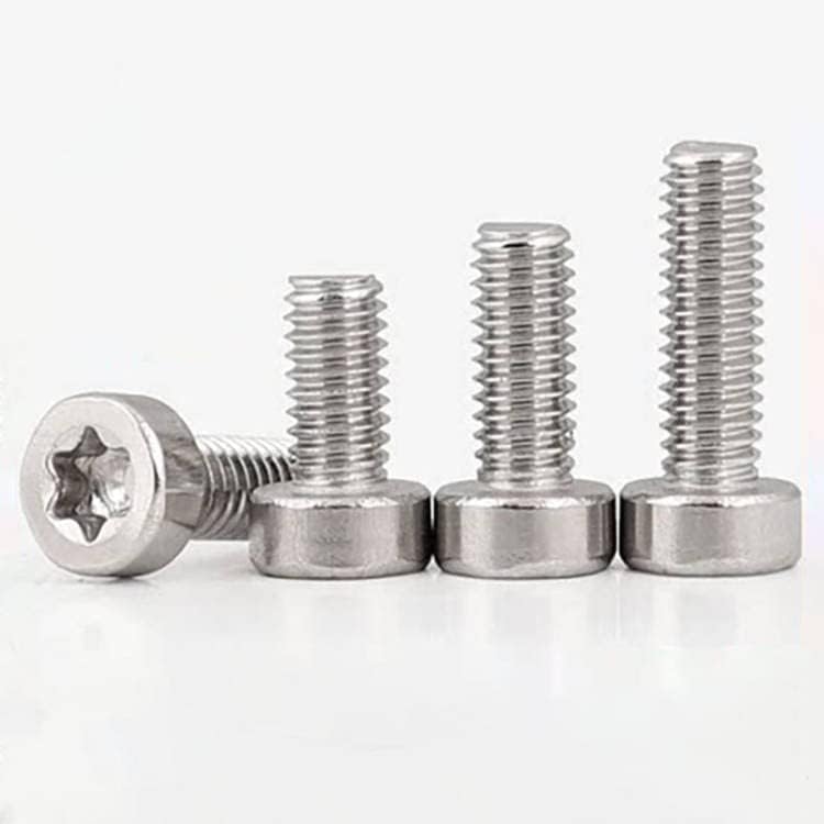 5pcs M6 M8 screws bolts cylindrical head screw 304 stainless steel thread nails inner T&TX groove bolts 10mm-30mm - (Size: M6x12mm)