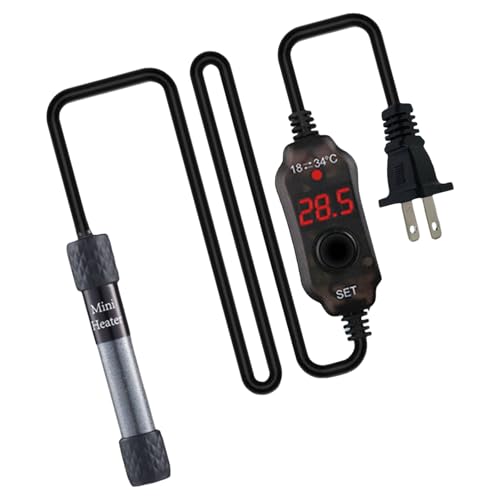 كT[X^bgq[^[ՒfƃA^C\SJo[th