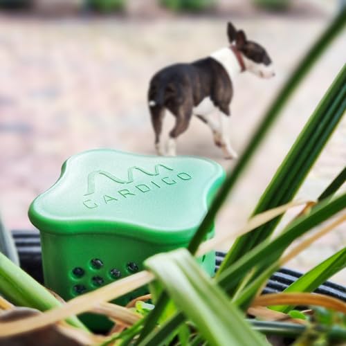 GARDIGO® Hundeschreck Granulat inklusive Beet-Stecker | 300g | Hundeschreck Garten mit Eukalyptus Citriodora Öl I Made in Germany I Hundeabwehr für Haus und Garten | Hundevertreiber