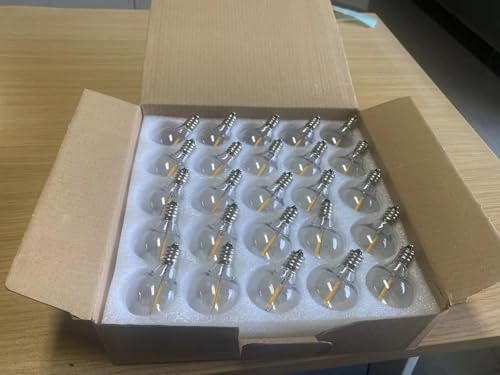 shinytown 25 Pack G40 Globe Plastic LED Bulbs Outdoor Garden Festival String Light Replacements 240-220V 0.6W E12 Screw Base Solar Light NOT Supported