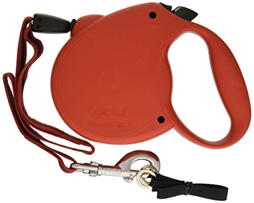 Good Boy Flexi Extendable Dog Lead, L (Assorted)
