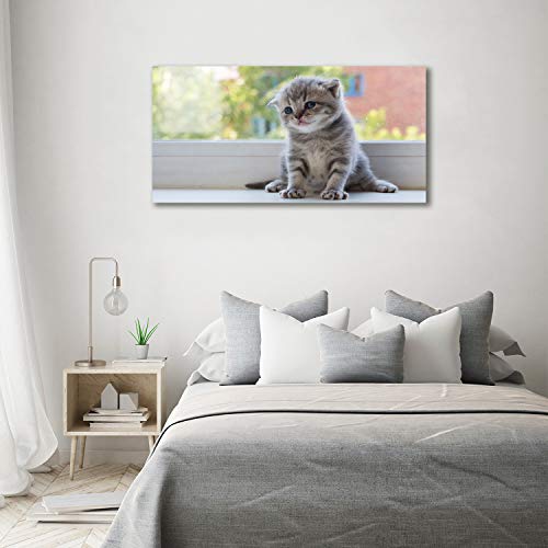 Tableau plexiglas incassable grand format chat gris 140x70cm - 4