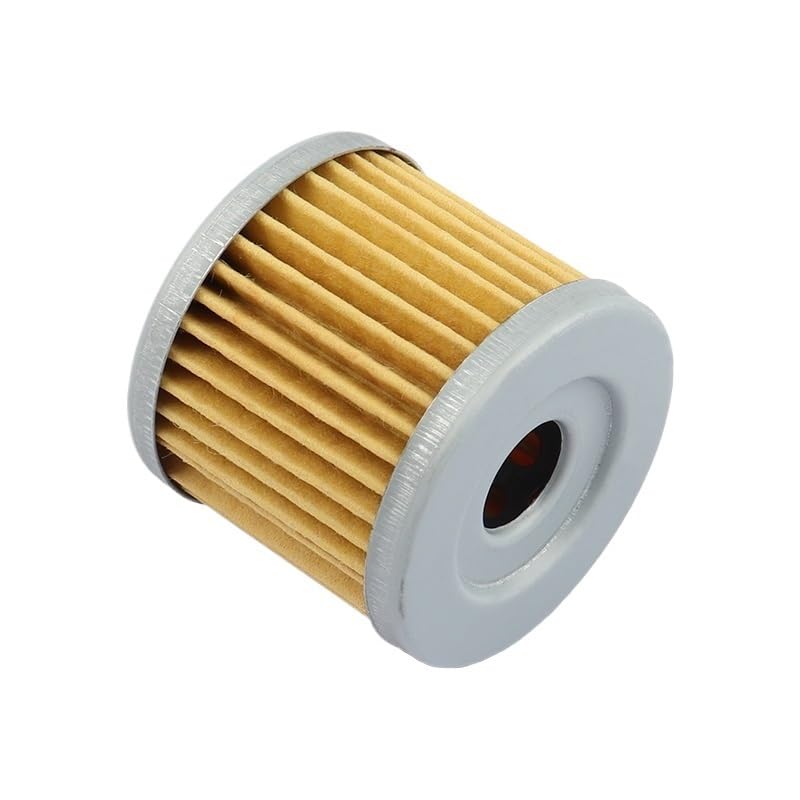 Filtro olio for moto for 125 GA125 GF125 GT125 XRX125 RX125 RT125 Comet GT125R GT250 GT250R GV125 Aquila GV250(10pcs)