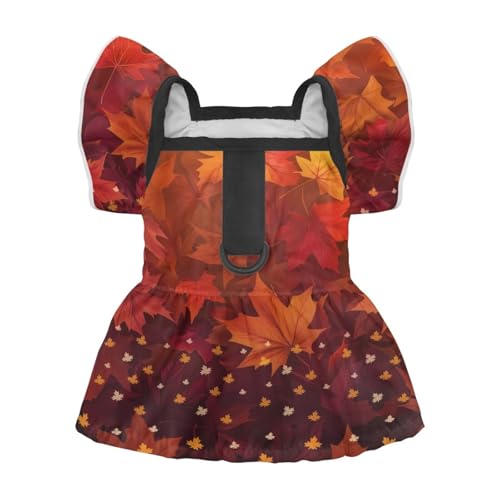 Bivxisrvo [v[t hbOhX ^p - ʋC H q XJ[g DOt Ӎ vZX ߑ ̎q  L y ybg hX a&AEghAAp