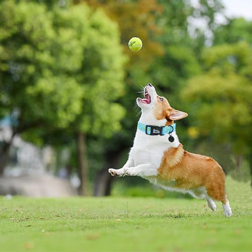Image of Dog Collar-Tennis Balls Print Adjustable Pet Collars Comfortable Spring Summer Puppy Collar Cute Cotton Durable Collars Gift for Medium Dogs